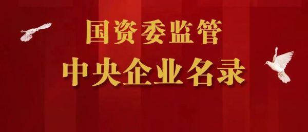 国资委是什么部门？（国家单位资产管理公司吗）-图3