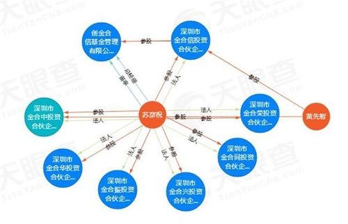 公司和个人股份如何查询？（单位股权关系怎么查询）-图1