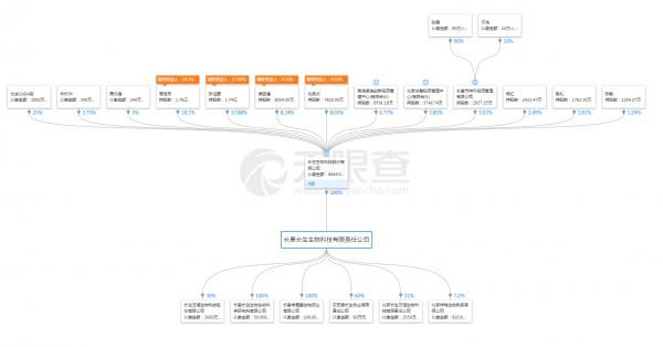 公司和个人股份如何查询？（单位股权关系怎么查询）-图2