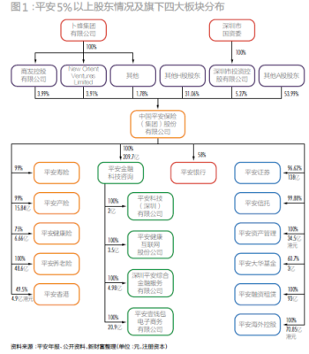 股权结构如何填写？（单位股权关系怎么写）-图2