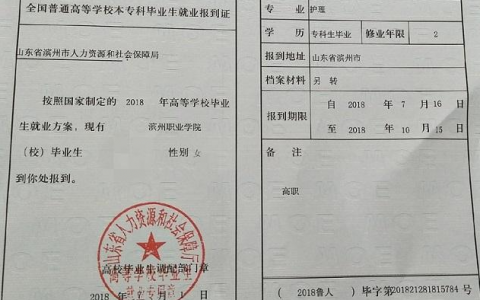 考上公务员事业单位都需要报到证吗？（考事业单位要报到证吗）-图3