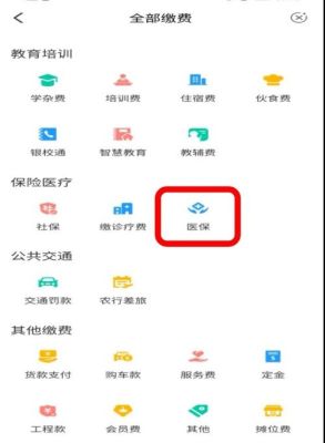 怎么缴纳大额医疗保险？（单位大额医保怎么办理）-图1