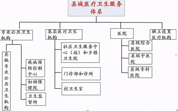 医疗卫生机构包括哪些？（医疗机构单位）-图3