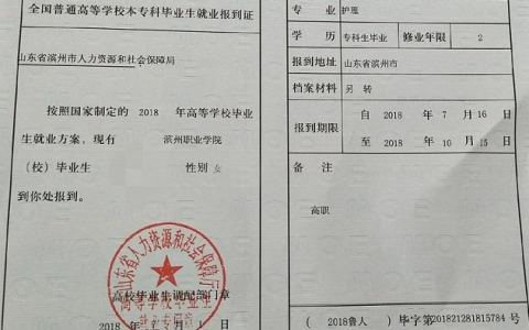 事业单位报到需要报到证吗？（报考事业单位需要报到证吗）-图2