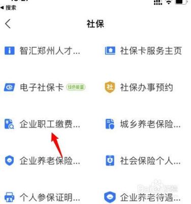 支付宝怎么查询社保单位缴费记录？（社保怎么查单位缴费记录）-图1