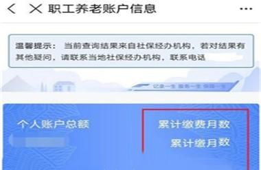 支付宝怎么查询社保单位缴费记录？（社保怎么查单位缴费记录）-图3