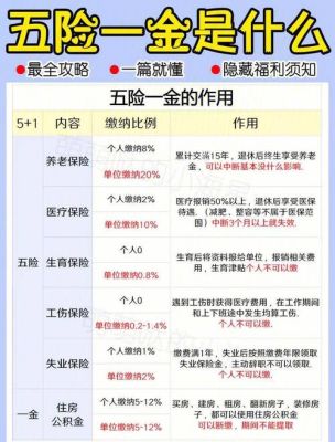 2021年事业单位合同工有五险一金吗？（事业单位不交五险一金吗）-图1