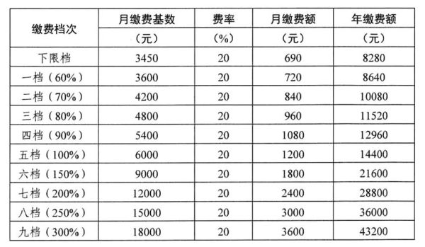 社保缴费比例2021公司缴多少？（单位应该交多少钱社保）-图2