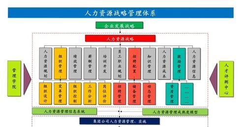 第三方人力资源公司是什么意思？（三方的用人单位是什么意思）-图3