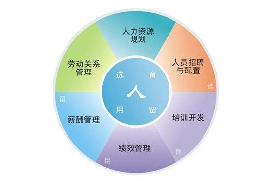 第三方人力资源公司是什么意思？（三方的用人单位是什么意思）-图2