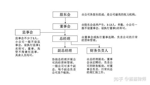 行政事业单位可以当股东吗？（事业单位为啥会有股东）-图3