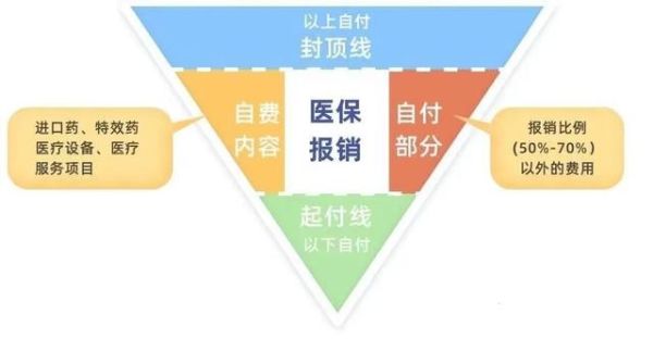 大额医疗保险是个人交还是单位交？（大额医保是单位交还是个人交）-图3