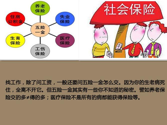 单位说上的五险为什么社保卡上只有医疗和养老保险呢？（医疗保险需要单位的劳动合同吗）-图3