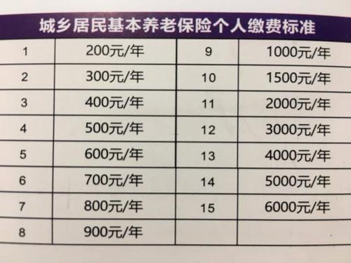 五险两金每月单位都给交多少？（养老保险单位每个月都交吗）-图1