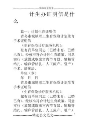 报生育保险的单位证明要去哪里开呀？（单位员工参加保险证明范文）-图2