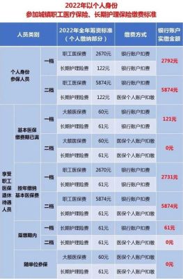 社保的大额和护理是什么？（社保大额个人承担还是单位承担）-图3