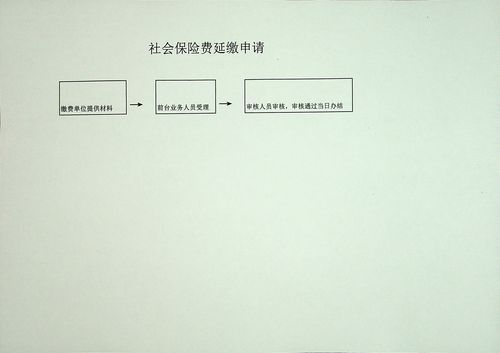 社保延缴的流程？（单位一直延迟交社保怎么办）-图1