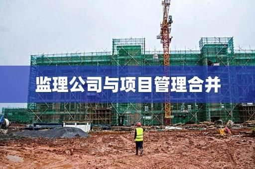 项目管理公司可以和建筑公司合并成一个公司吗？（监理和审核可否为一家单位）-图2